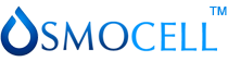 websphere Logo